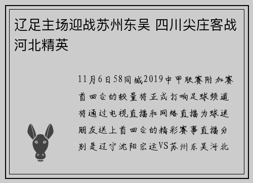 辽足主场迎战苏州东吴 四川尖庄客战河北精英